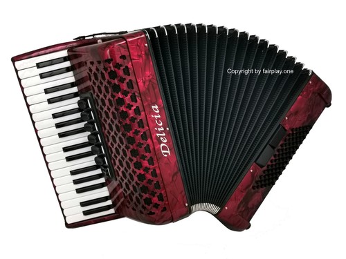Accordion delicia special - accordion,